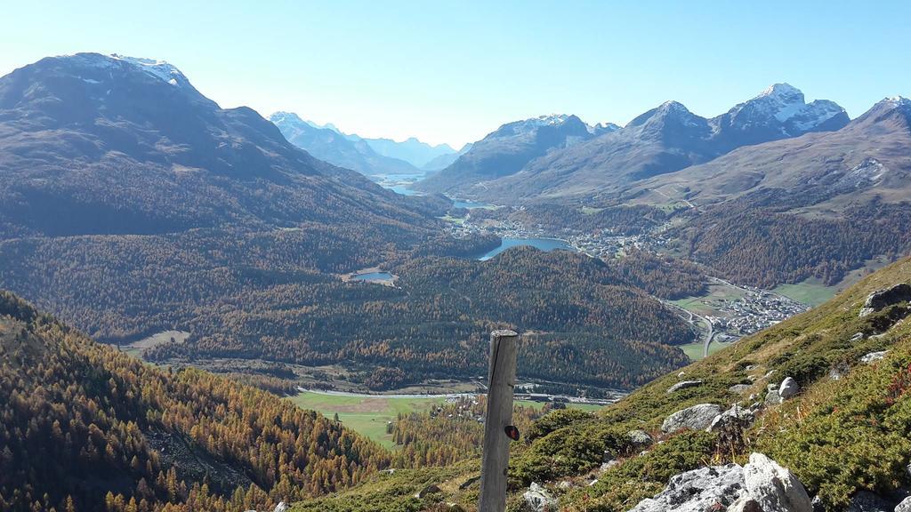 Hotel Allegra 3 Stern Superior Pontresina Dış mekan fotoğraf