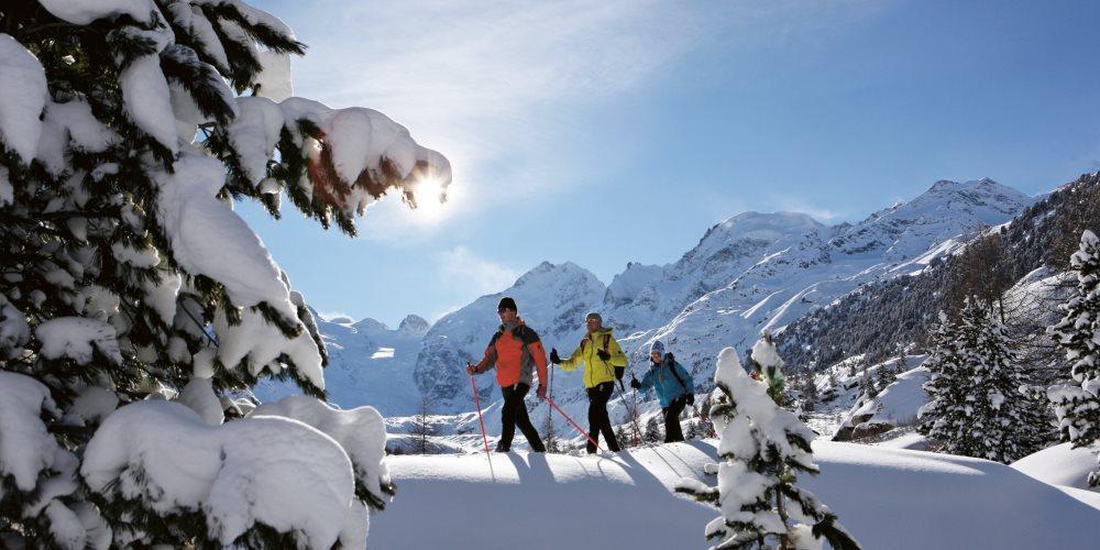 Hotel Allegra 3 Stern Superior Pontresina Dış mekan fotoğraf